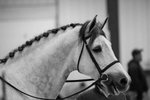 Upload/Images/8Cb97807.Jpg