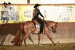 Red roan Quarter Horse gelding with first-class pedigree
