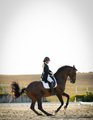 Upload/Images/93393C78.Jpg