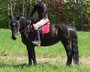SW-Stute Belinda