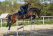 amazing youngster with spectacular jump, for all rings