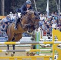 Bundeschampion Cornet's Balou verkauft