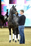 TOP-Stallion Rohdiamant passed away