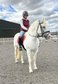 8yo Connemara Mare, 14.5hh,Boomproof,Safe All Rounder