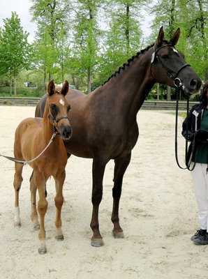 Fantastic girl with foal v. Swarovski