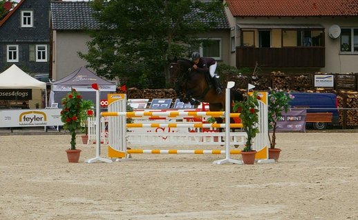 Springpferde-M 2011