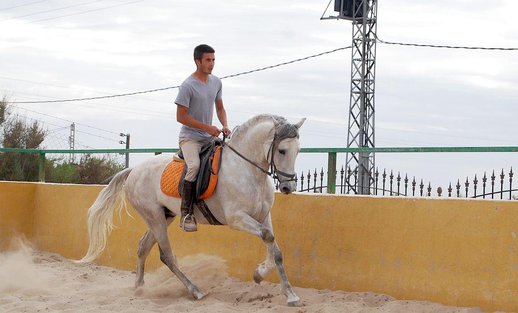  GANADOS CHANDO FARM