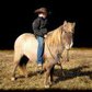 Unicorn ALERT!! Every little cowboy/cowgirl needs a Snip!! Snip