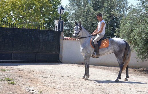  GANADOS CHANDO FARM