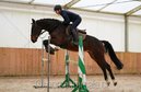 talented jumper with perfect brain