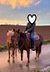 Zwei erfahrene Quarter Horses suchen gemeinsam ihr Für-immer-Zuha