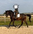 Upload/Images/Db066Ac2.Jpg