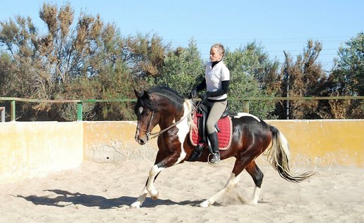GANADOS CHANDO FARM