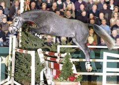 MK Sportponys