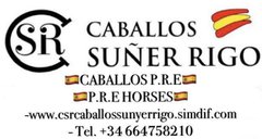 CSR CABALLOS SUÑER RIGO. 