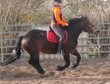 SW mare Saltra