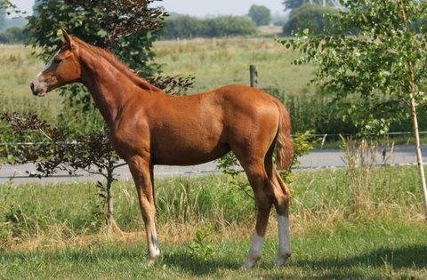 10. Juli 2010