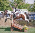 Eye-Catching Paint Eventer- Confident & Capable 