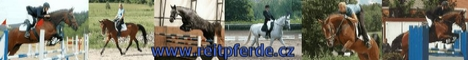 WWW.REITPFERDE.CZ banner