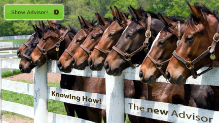 Caballo Horsemarket Horse Advisor