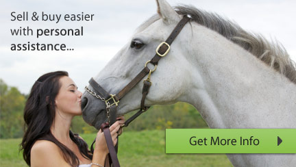 Caballo Horsemarket - Your personal horse agent