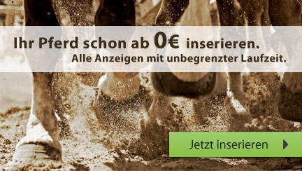 Pferde jetzt kostenlos inserieren.