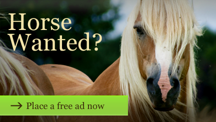Caballo Horsemarket - Wanted Horses