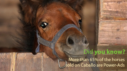 Did you already know? 65% of the horses sold on Caballo are Power-Ads.