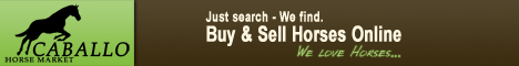 Caballo Horsemarket - Buy Horses & Sell Horses - The Horse Market with More