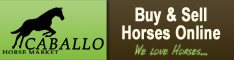 Caballo Horsemarket - Buy Horses & Sell Horses - The Horse Market with More