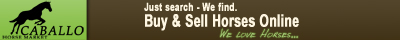 Caballo Horsemarket - Buy Horses & Sell Horses - The Horse Market with More